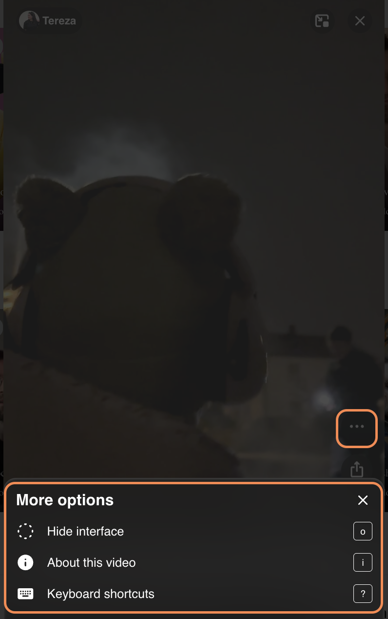 Player_MoreOptions.png